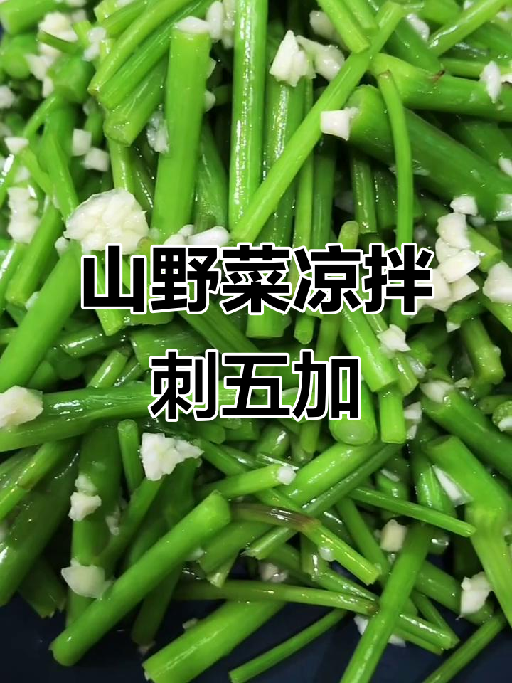 春季山野菜凉拌美味,刺五加清爽开胃