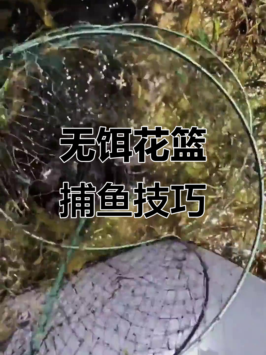 老渔民的捕鱼秘籍:无饵花篮轻松抓多条