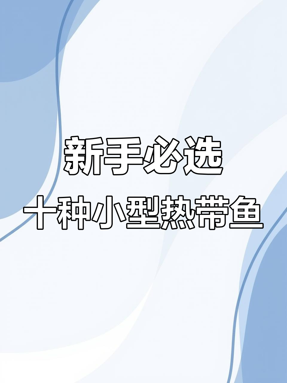 十大最适合新手养的热带鱼,轻松养不死