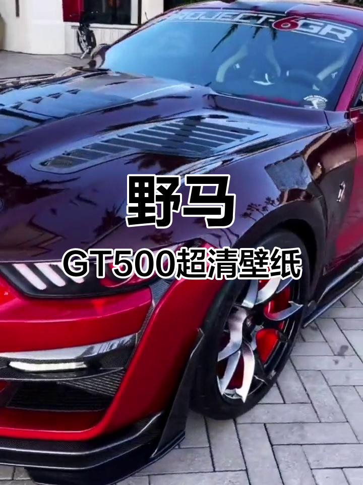 超清动态壁纸:野马GT500与谢尔比肌肉车