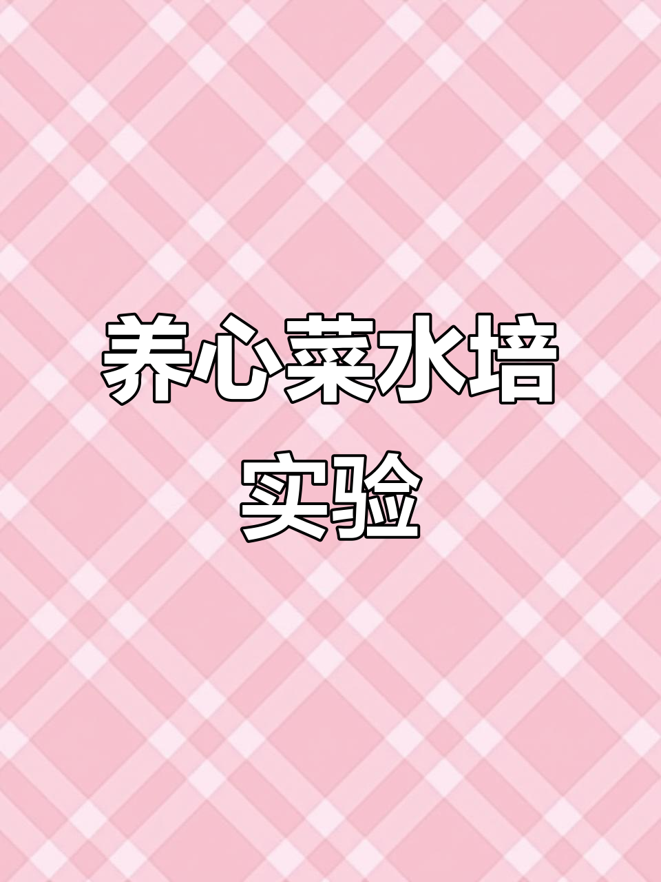 水培设备新尝试:养心菜扦插成活,中草药种植也能轻松搞定