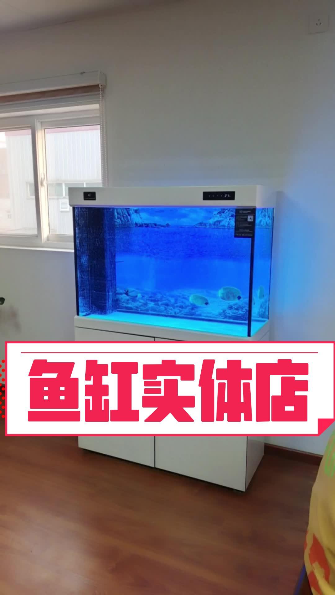 实体店卖的是实物,电商卖的是图片 鱼缸 杨凌可丽爱鱼缸 可丽爱水族 鱼闻天下