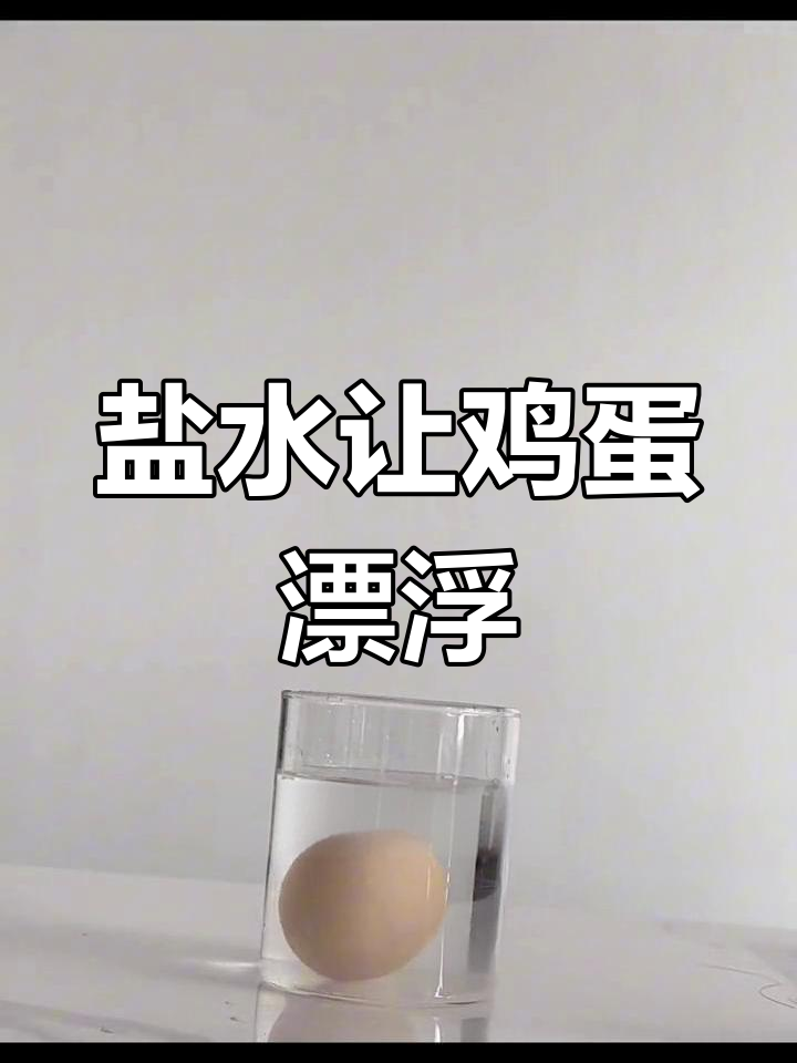 死海实验:鸡蛋在盐水中浮起来,原理揭秘