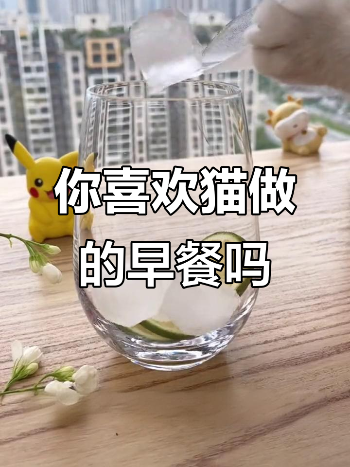 猫咪做早餐,你会嫌弃它吗?快来测测你最适合养的宠物