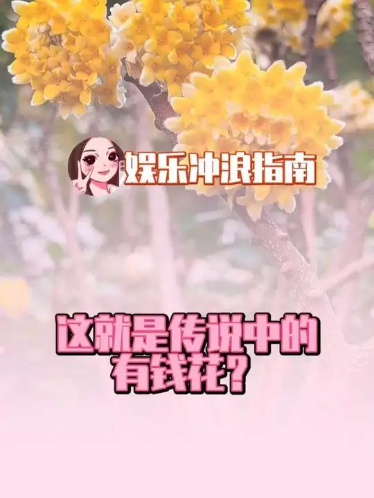 这就是传说中的有钱花?#娱乐评论大赏 #结香花 #人民币