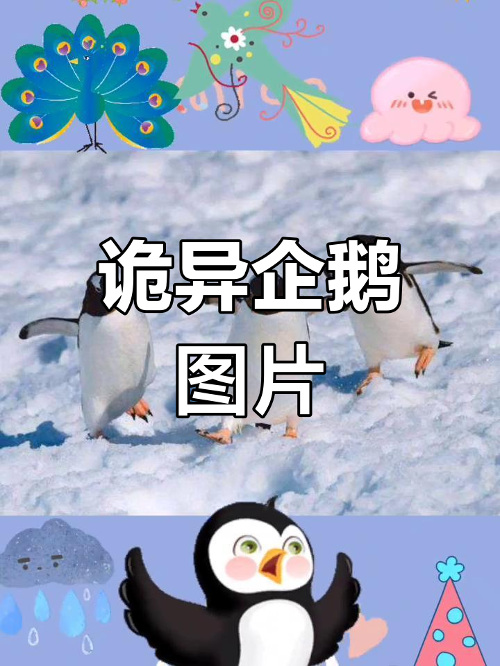 企鹅变恐怖,诡异现象吓坏你