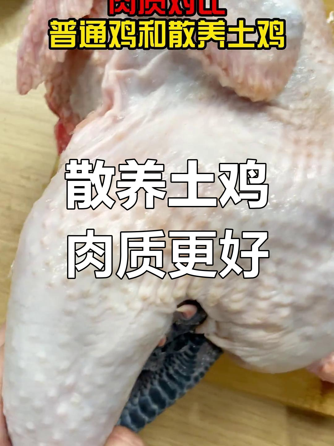 散养土鸡与普通鸡肉质对比,紧实更美味