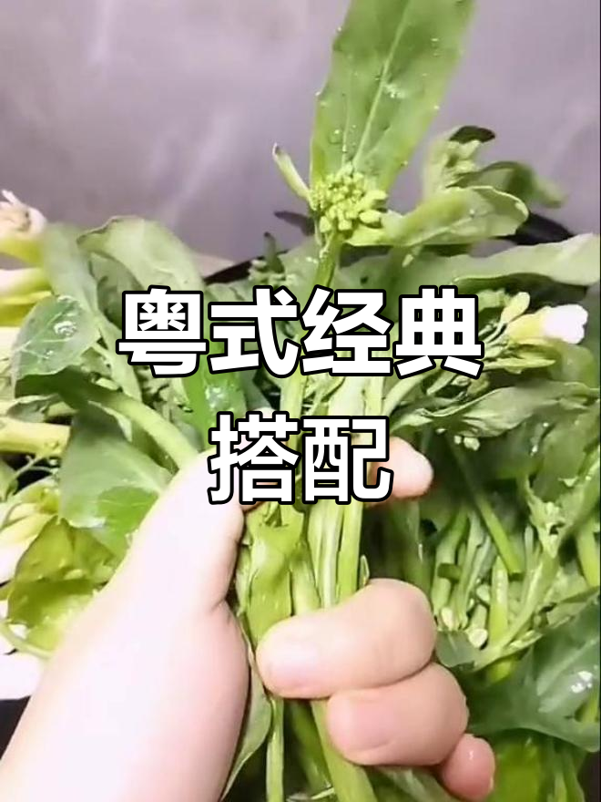 芥蓝菜苔与鱿鱼搭配,广东人最爱的美味组合!