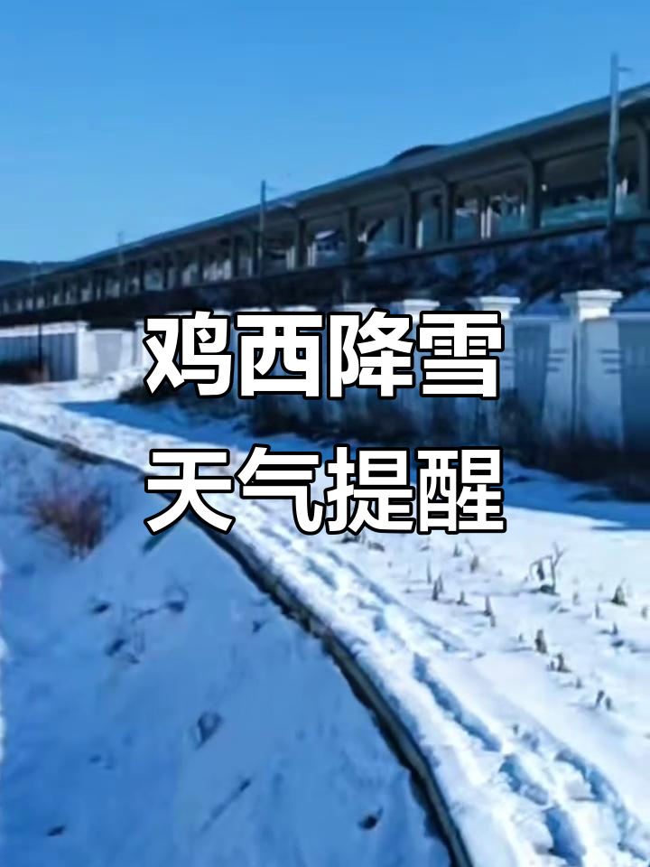 鸡西本周双降雪预警！15日小雪伴大风注意防寒