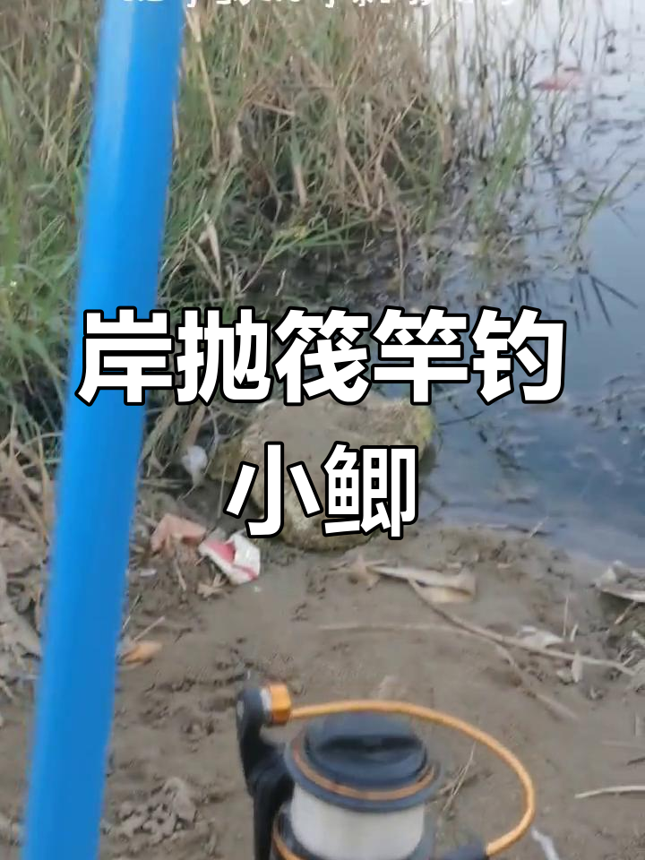 岸抛筏竿钓鲫鱼,轻松掌握技巧