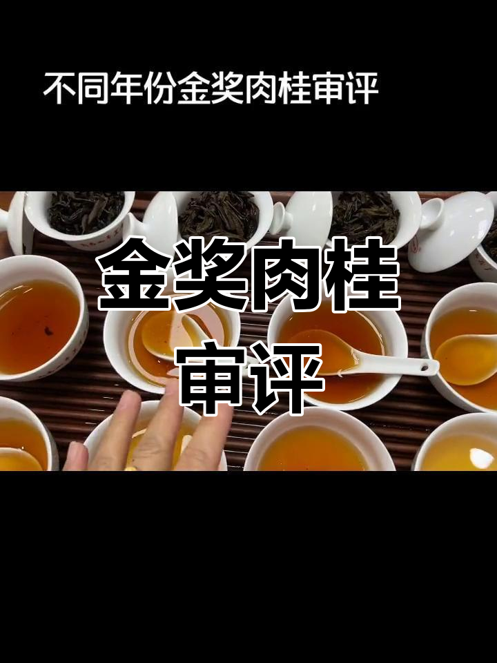 不同年份金奖肉桂对比评测