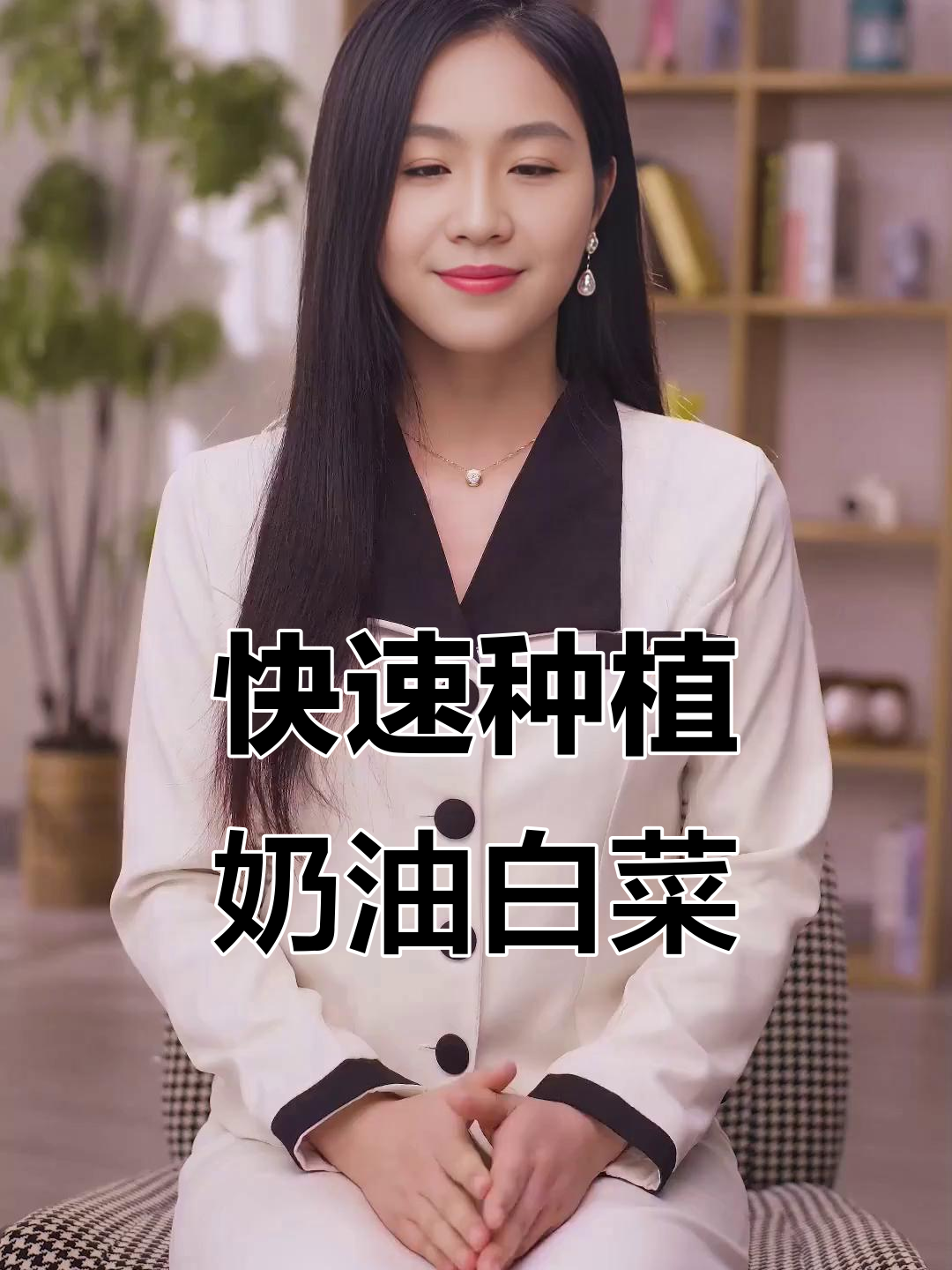 四季奶油小白菜,生长周期短,月初种月底就能吃