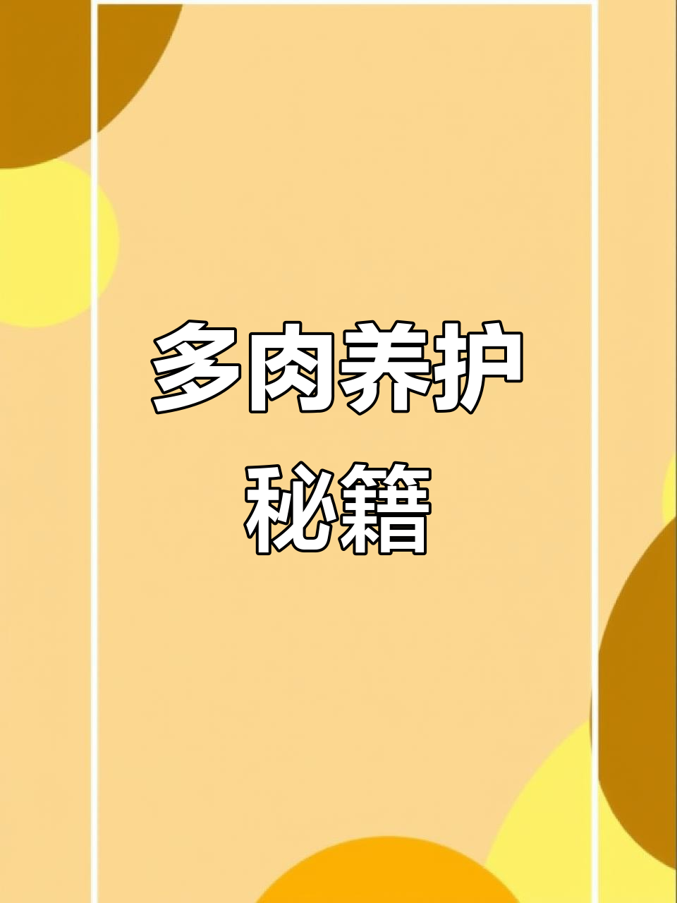懒人必备,多肉“不死鸟”轻松养护秘诀!
