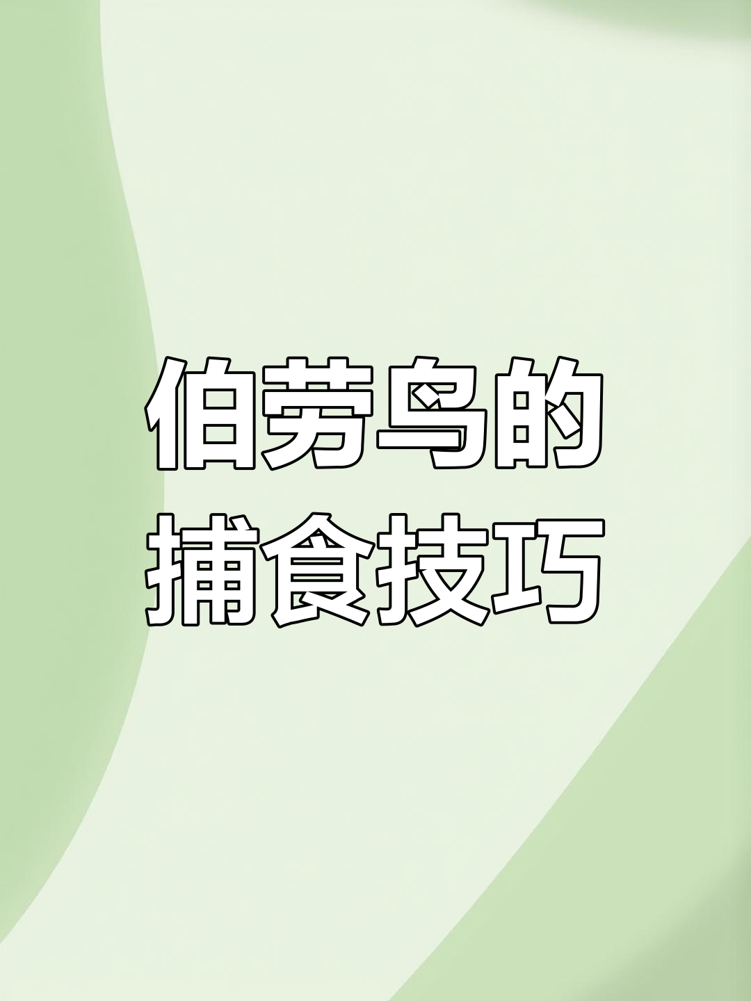 伯劳鸟模仿竹鸡叫声引诱猎物,竟能将小鸟骗至陷阱