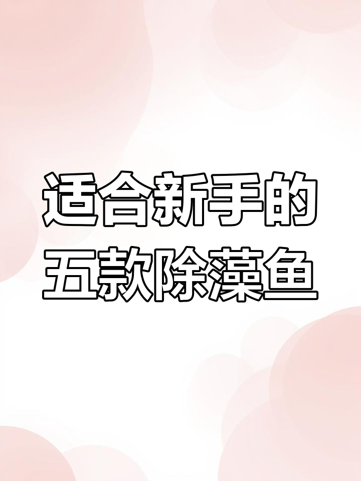 新手必看!五种最适合养除藻工具鱼,最后一种超意外