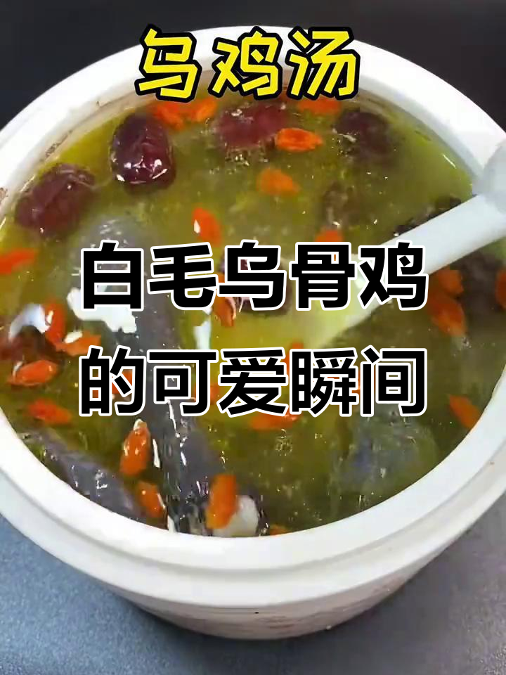 江山白毛乌骨鸡:萌态十足,恋爱感满满