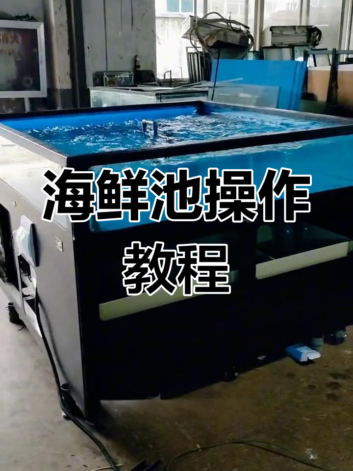 移动海鲜池使用指南,轻松操作与维护