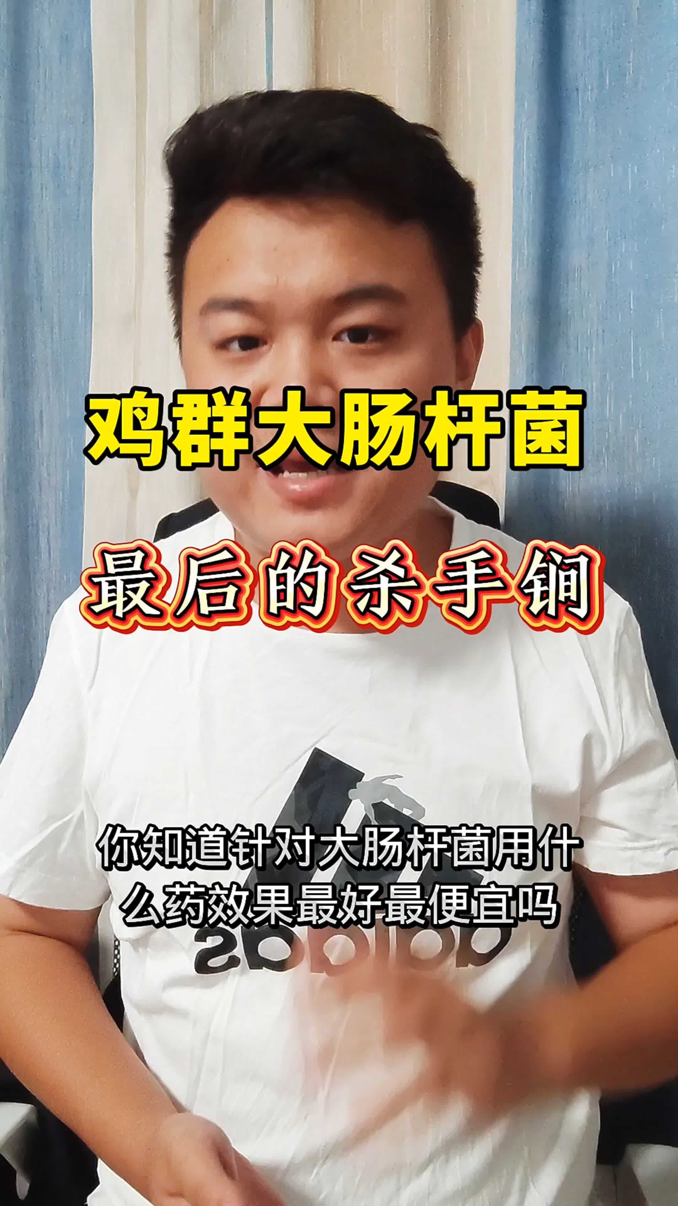 农村散养土鸡 养鸡人 科学养鸡 生态散养土鸡