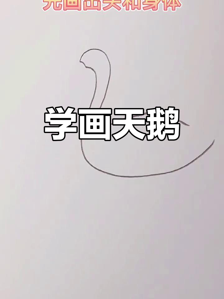 优雅天鹅简笔画教程