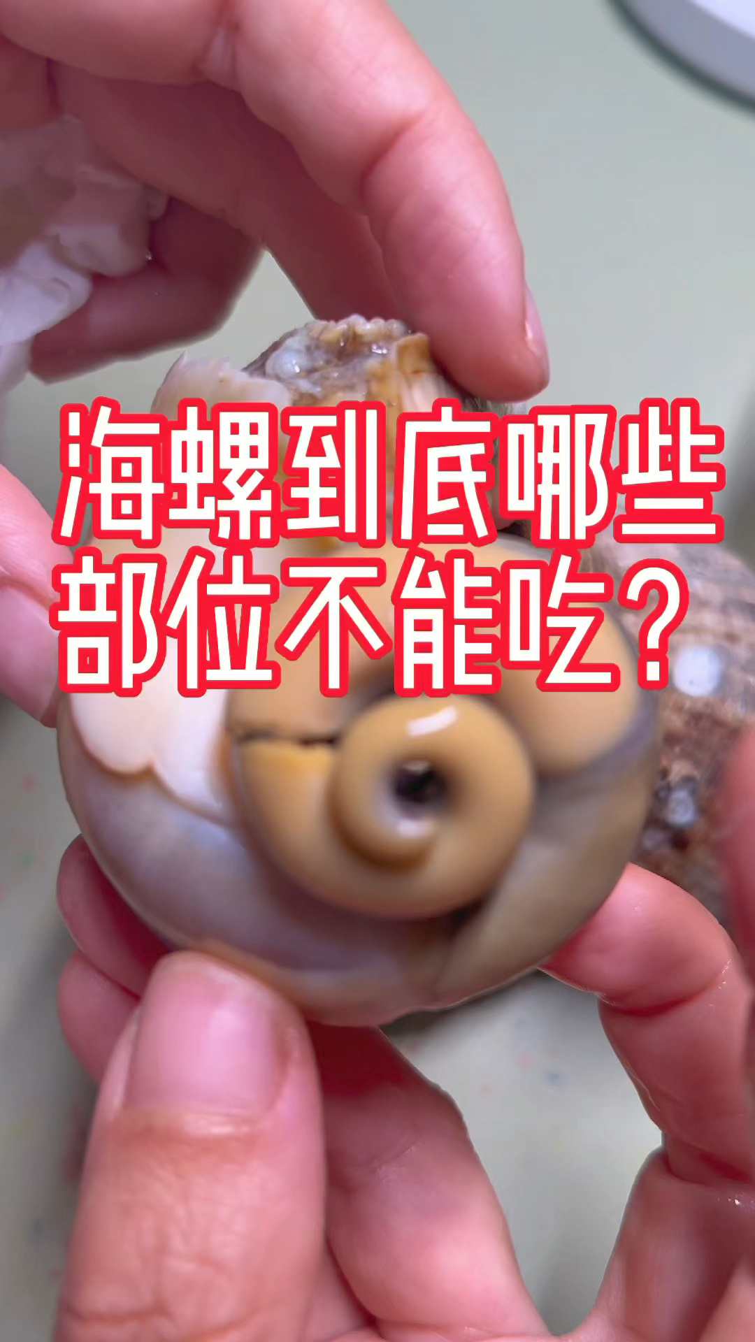 海螺到底哪里不能吃?