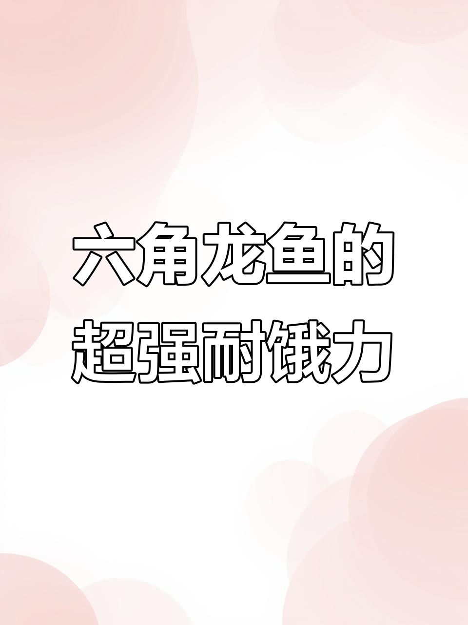 六角龙鱼爬行大挑战，抗饿能力惊人！