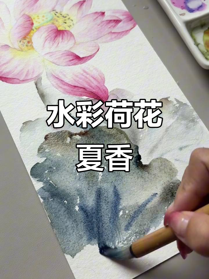 荷花盛开,水彩画中的夏日香气