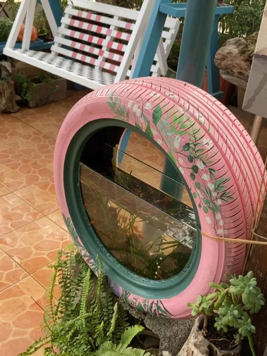 花费70元做的轮胎鱼缸｜小鱼户外过冬