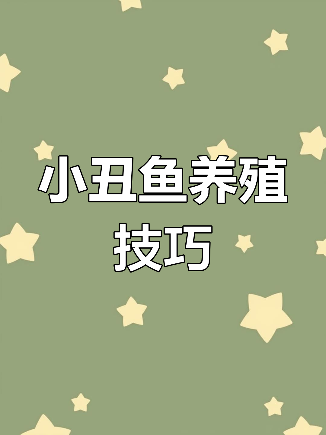 小丑鱼繁殖全流程:从起飞到开口饲料,一步步教你养小丑