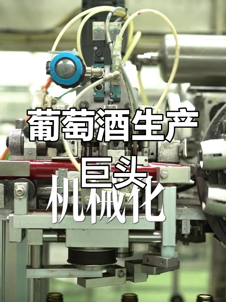 张裕葡萄酒城,年产25万吨,全球领先的生产能力