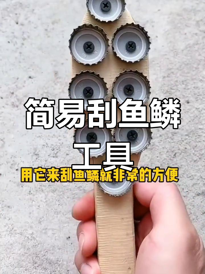 自制刮鱼鳞神器,轻松去鳞