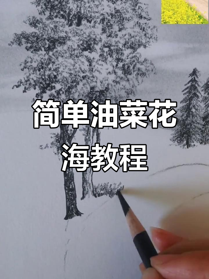 油菜花花海炭笔风景画,轻松学会!