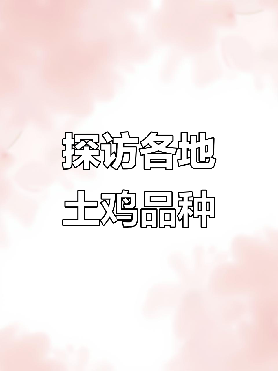 土鸡品种大揭秘：北京牛鸡、清远鸡等特色介绍