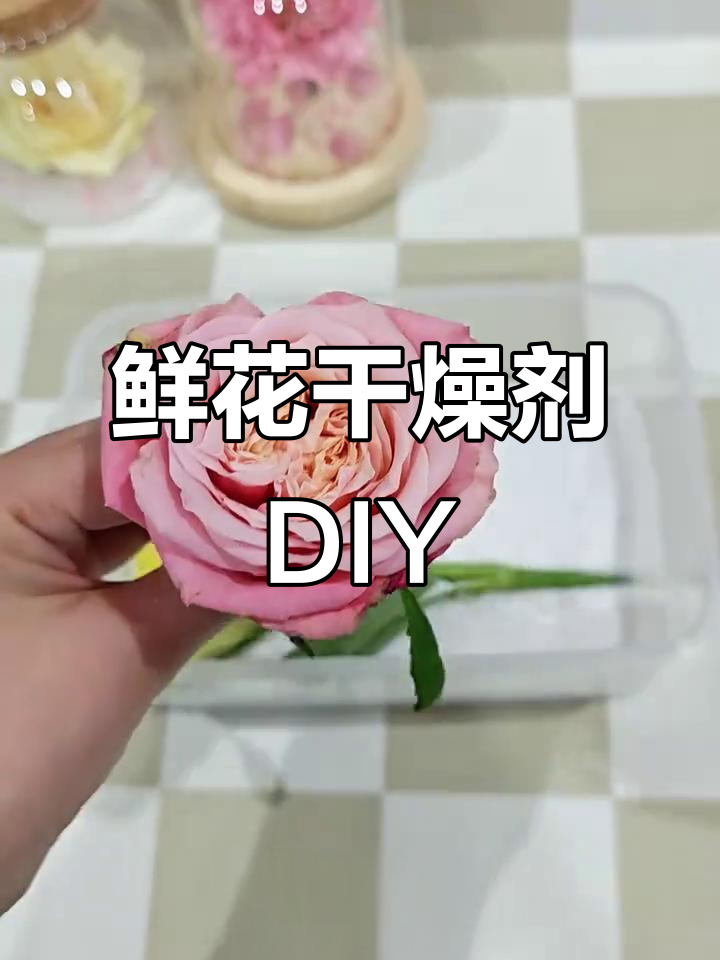 如何将520花束永久保存?简单步骤教你做干花