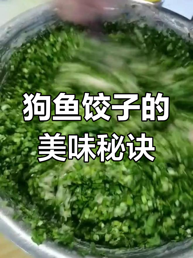 冷水狗鱼饺子,鲜美十足,调料简单却让人回味无穷