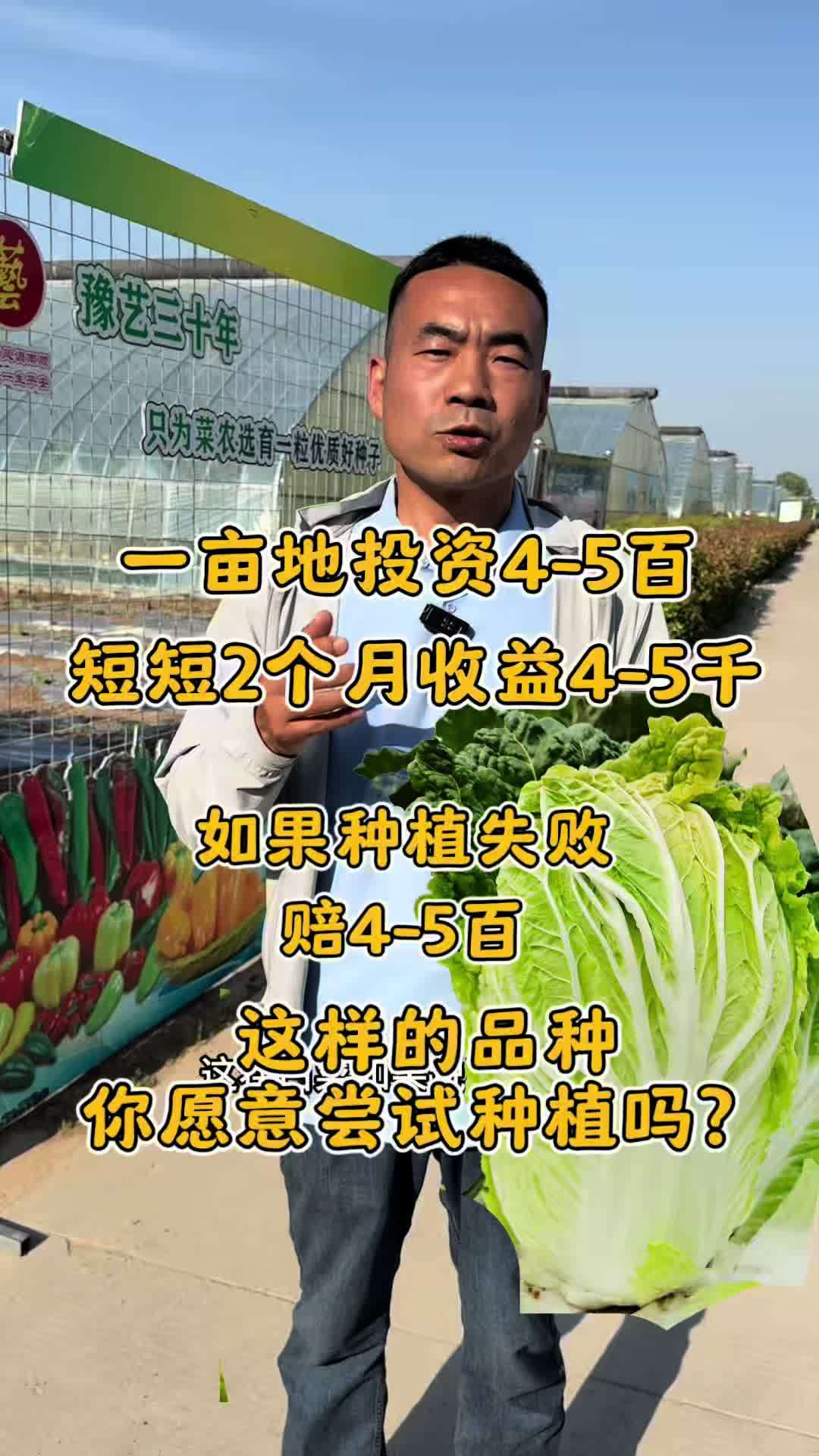 一亩地投资4-5百,种成两个月收益4-5千,但也可能种植失败 这样的品种,您会选择种吗?#