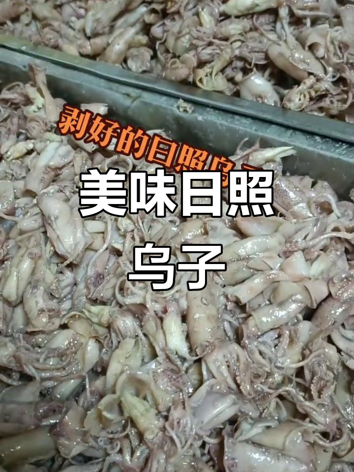 日照乌子,鲜美十足,搭配萝卜丝瓜,汤白味浓