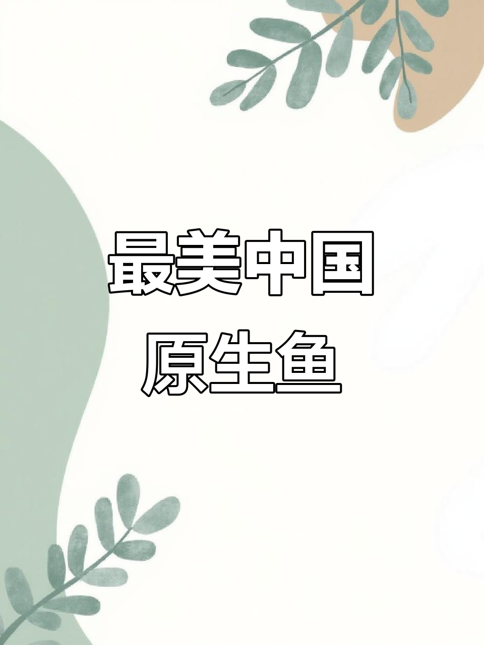 探索中国最美原生鱼,感受自然之美