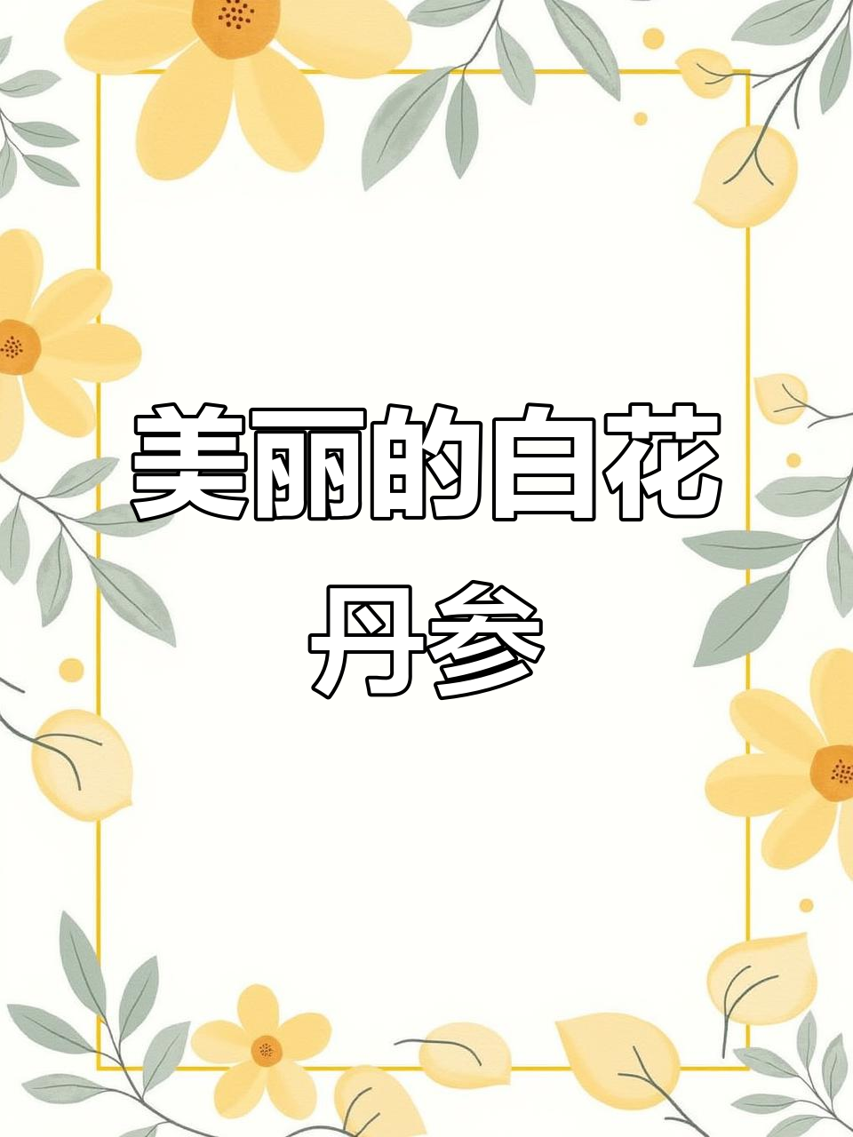 白花丹参:紫色与白色花朵的美丽草本植物