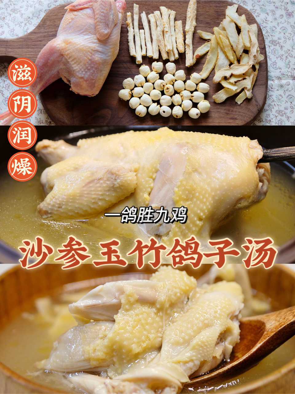 四季百搭鸽子汤|滋阴润燥|补虚损|养心安神