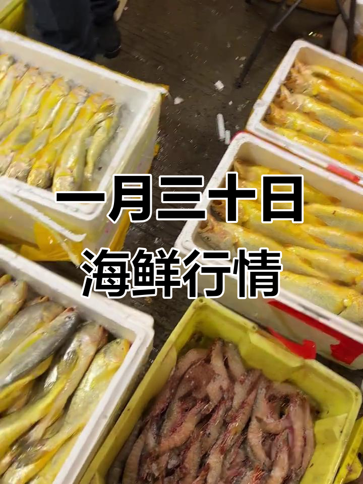 1月宁波海鲜市场每日报价，东兴办、黄鱼等一应俱全