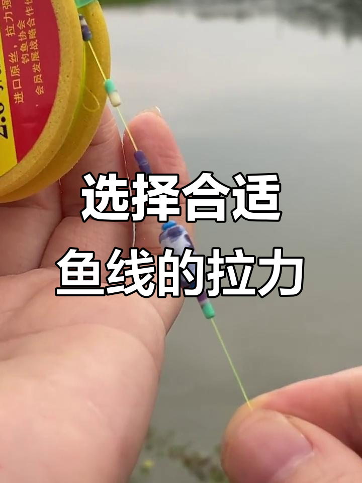 鱼线拉力如何选择?从1.5号到4.0号的钓重范围解析