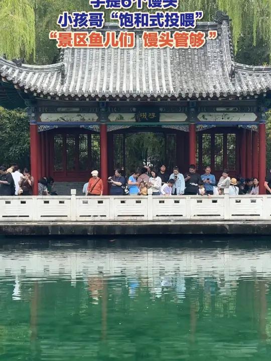 10月4日(报道),在济南珍珠泉景区,小孩子手提6个馒头喂鱼,“想喂遍济南各个景区里的鱼”
