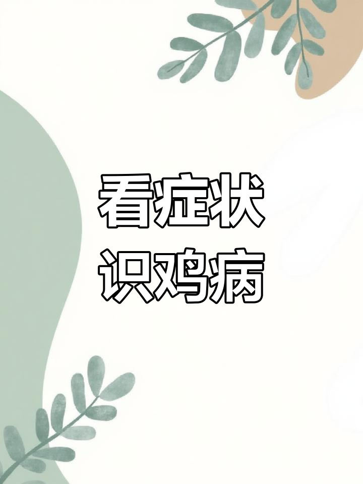 常见鸡病症状与防治方法,教你如何应对不同疾病
