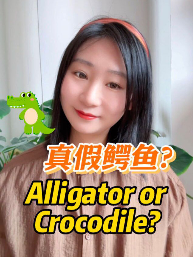 鳄鱼的英文,到底是Alligator 还是Crocodile