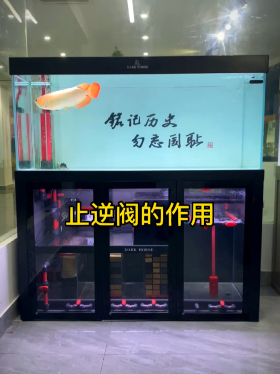 有这底滤系统,鱼缸停电也不用担心
