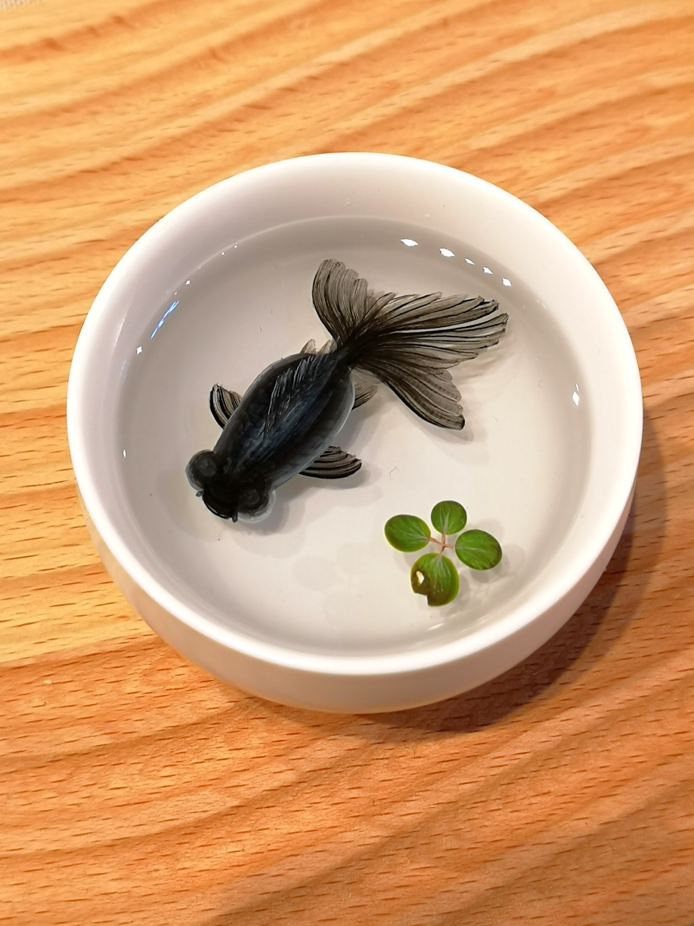 手绘立体树脂画-黑色金鱼绘制过程分享