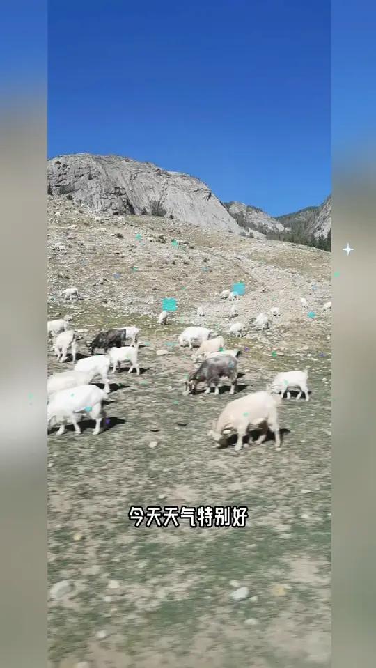 探索北疆阿勒泰地区“可可托海”及额尔齐斯河源头