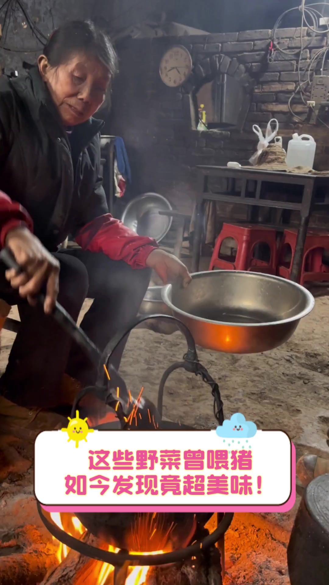 这些野菜曾喂猪,如今发现竟超美味!