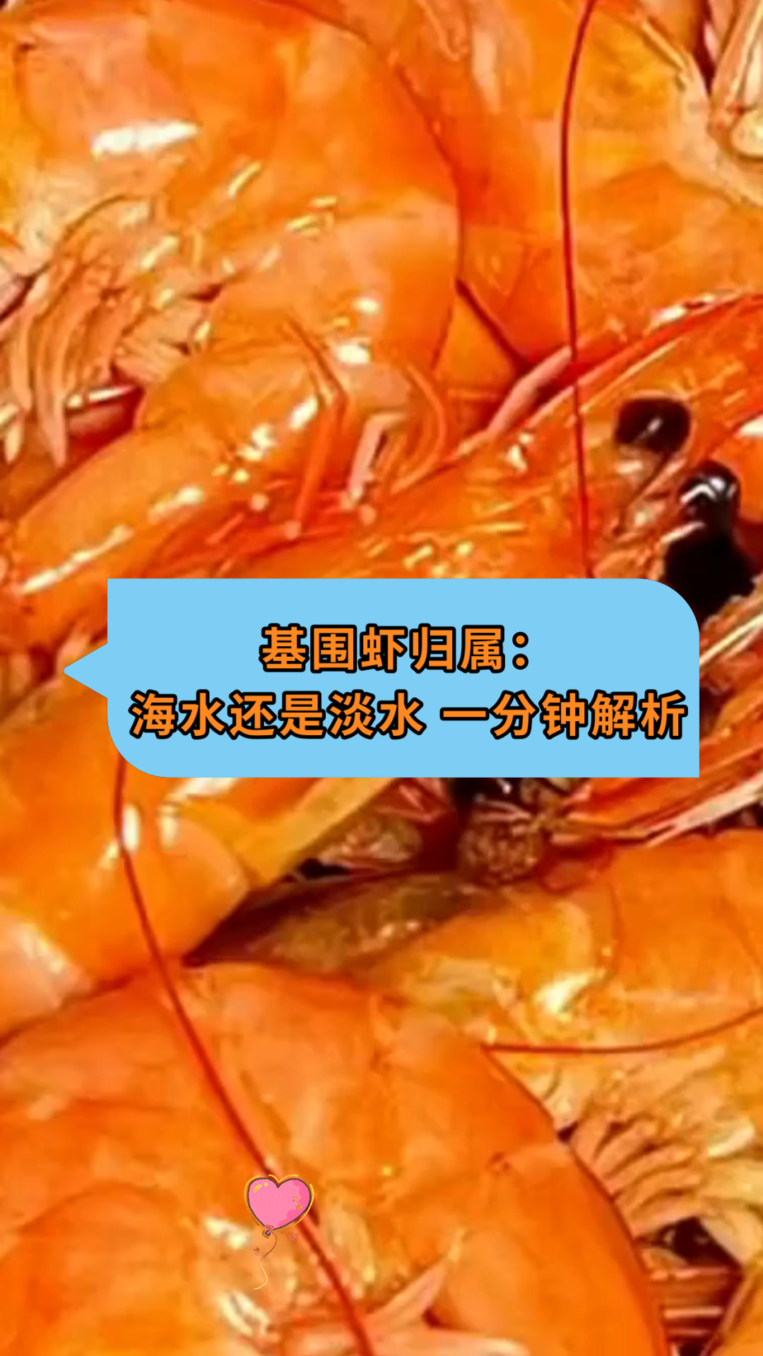 基围虾归属:海水还是淡水 一分钟解析