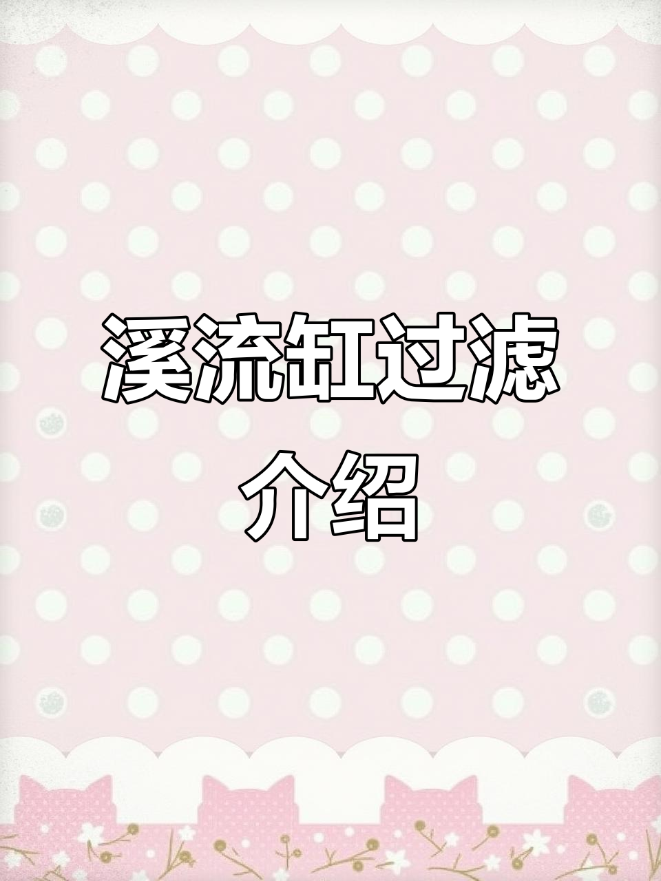 溪流缸过滤系统揭秘:刮鱼侧滤如何打造波光粼粼效果